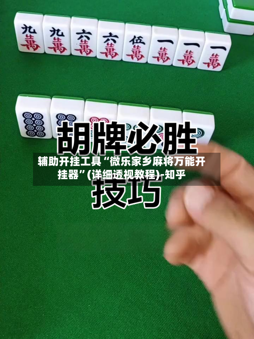 辅助开挂工具“微乐家乡麻将万能开挂器”(详细透视教程)-知乎
