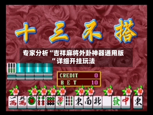 专家分析“吉祥麻将外卦神器通用版”详细开挂玩法-第2张图片