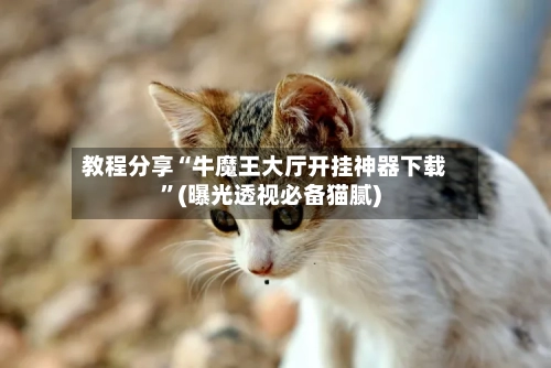 教程分享“牛魔王大厅开挂神器下载”(曝光透视必备猫腻)-第2张图片