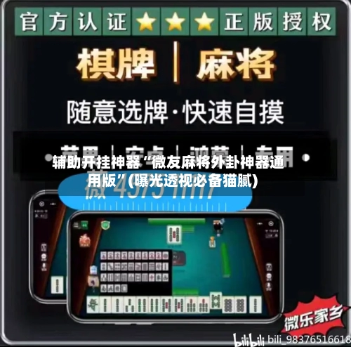 辅助开挂神器“微友麻将外卦神器通用版	”(曝光透视必备猫腻)-第2张图片