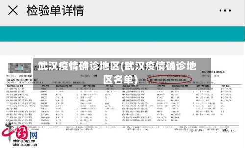武汉疫情确诊地区(武汉疫情确诊地区名单)