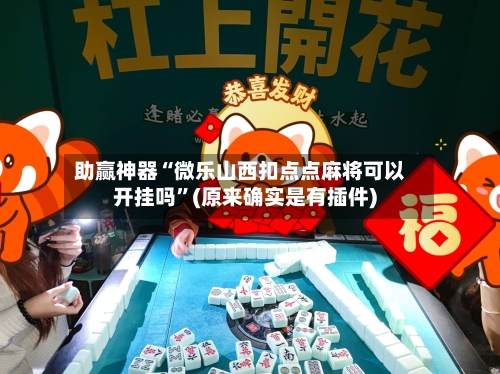 助赢神器“微乐山西扣点点麻将可以开挂吗”(原来确实是有插件)-第3张图片