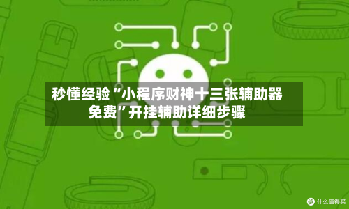 秒懂经验“小程序财神十三张辅助器免费	”开挂辅助详细步骤-第2张图片