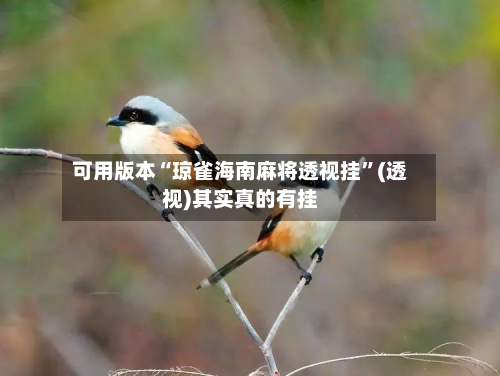 可用版本“琼雀海南麻将透视挂	”(透视)其实真的有挂-第2张图片