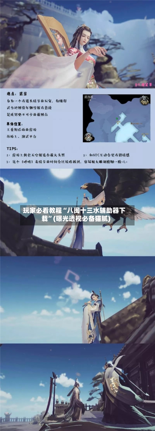 玩家必看教程“八闽十三水辅助器下载”(曝光透视必备猫腻)-第2张图片