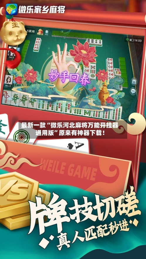 最新一款“微乐河北麻将万能开挂器通用版	”原来有神器下载！-第3张图片