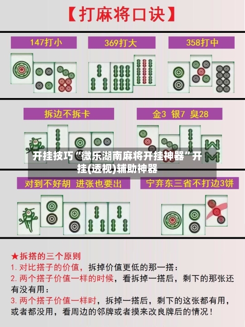开挂技巧“微乐湖南麻将开挂神器”开挂(透视)辅助神器-第2张图片