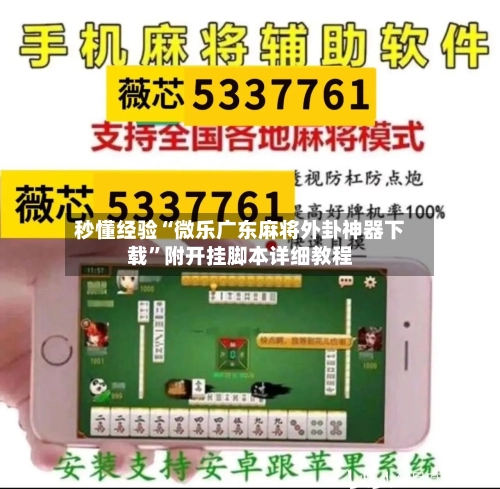 秒懂经验“微乐广东麻将外卦神器下载”附开挂脚本详细教程-第3张图片