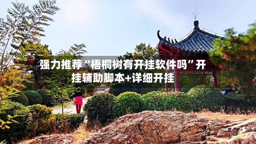 强力推荐“梧桐树有开挂软件吗	”开挂辅助脚本+详细开挂-第3张图片