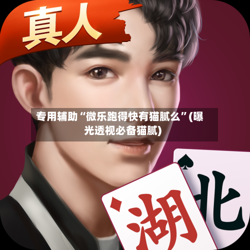 专用辅助“微乐跑得快有猫腻么”(曝光透视必备猫腻)-第2张图片