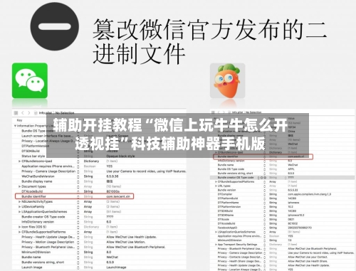 辅助开挂教程“微信上玩牛牛怎么开透视挂”科技辅助神器手机版