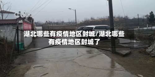 湖北哪些有疫情地区封城/湖北哪些有疫情地区封城了-第2张图片