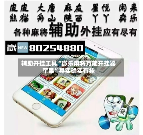 辅助开挂工具“微乐麻将万能开挂器苹果”其实确实有挂-第2张图片