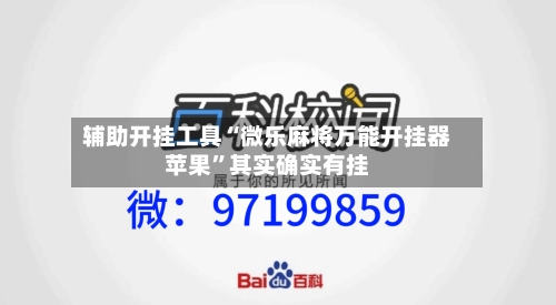 辅助开挂工具“微乐麻将万能开挂器苹果	”其实确实有挂-第3张图片