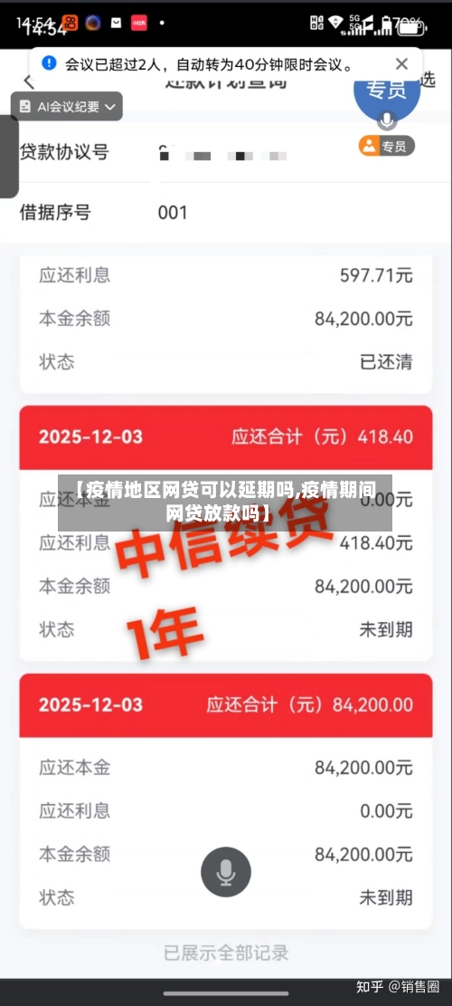 【疫情地区网贷可以延期吗,疫情期间网贷放款吗】