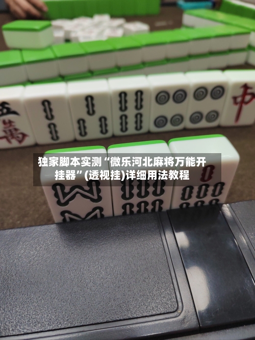 独家脚本实测“微乐河北麻将万能开挂器	”(透视挂)详细用法教程-第2张图片