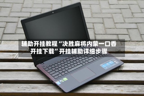 辅助开挂教程“决胜麻将内蒙一口香开挂下载”开挂辅助详细步骤-第2张图片