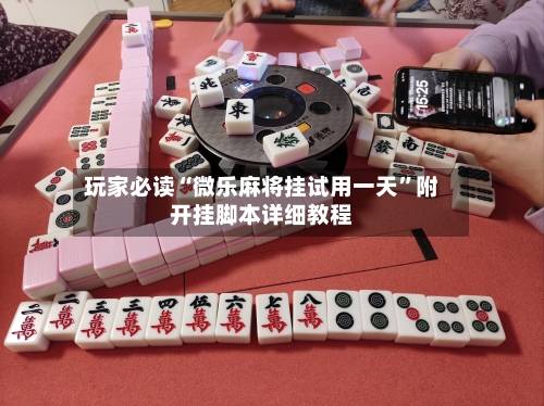 玩家必读“微乐麻将挂试用一天”附开挂脚本详细教程-第3张图片