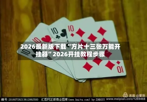 2026最新版下载“方片十三张万能开挂器”2026开挂教程步骤-第2张图片