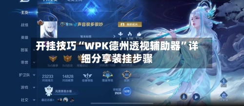 开挂技巧“WPK德州透视辅助器”详细分享装挂步骤-第3张图片