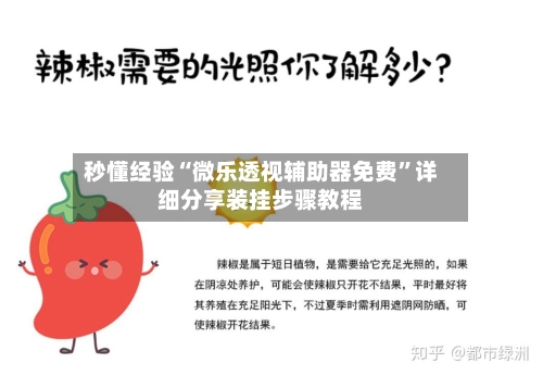 秒懂经验“微乐透视辅助器免费”详细分享装挂步骤教程