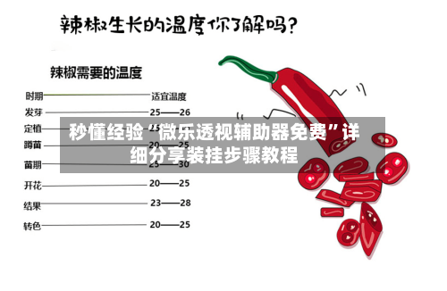 秒懂经验“微乐透视辅助器免费	”详细分享装挂步骤教程-第2张图片