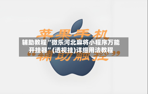 辅助教程“微乐河北麻将小程序万能开挂器”(透视挂)详细用法教程-第3张图片