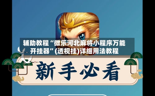 辅助教程“微乐河北麻将小程序万能开挂器	”(透视挂)详细用法教程-第2张图片