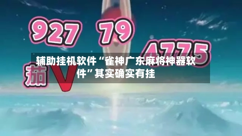 辅助挂机软件“雀神广东麻将神器软件”其实确实有挂-第3张图片