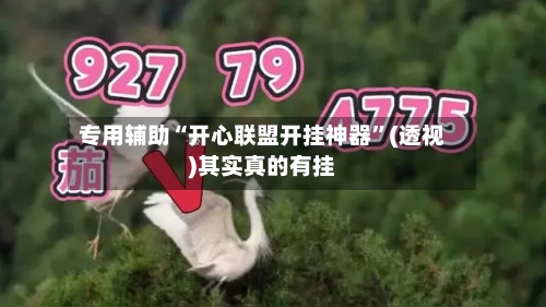 专用辅助“开心联盟开挂神器	”(透视)其实真的有挂-第2张图片