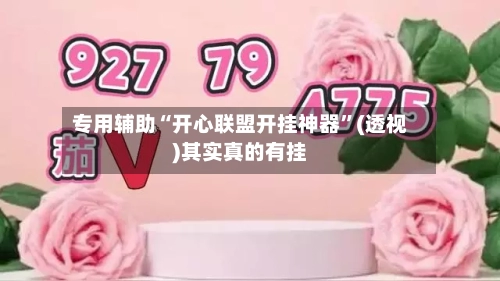 专用辅助“开心联盟开挂神器”(透视)其实真的有挂-第3张图片