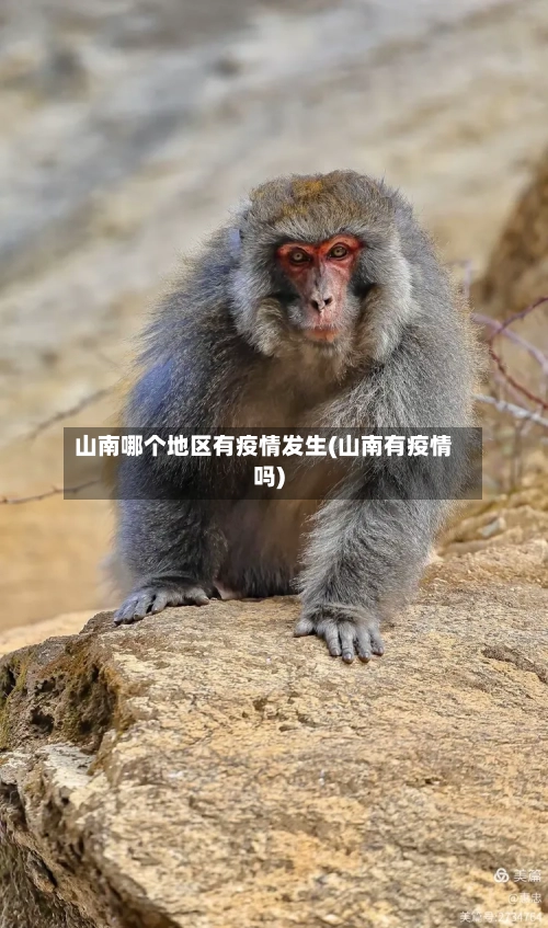 山南哪个地区有疫情发生(山南有疫情吗)-第3张图片