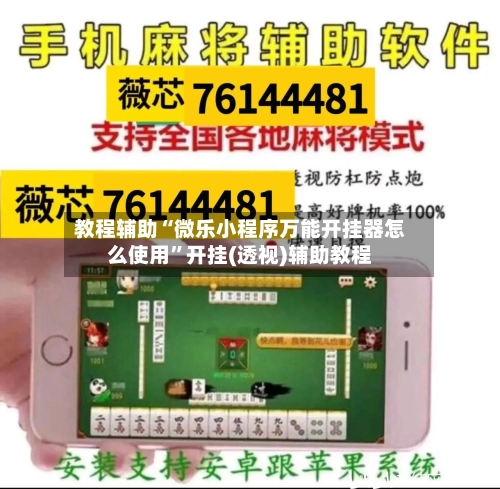 教程辅助“微乐小程序万能开挂器怎么使用	”开挂(透视)辅助教程-第3张图片