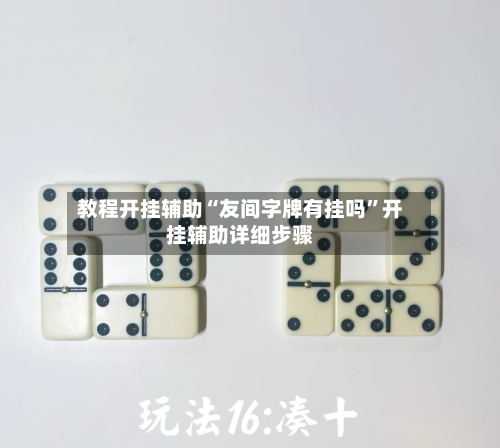 教程开挂辅助“友间字牌有挂吗”开挂辅助详细步骤-第2张图片