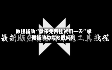 教程辅助“微乐免费挂试用一天	”掌握辅助功能必胜规则-第2张图片
