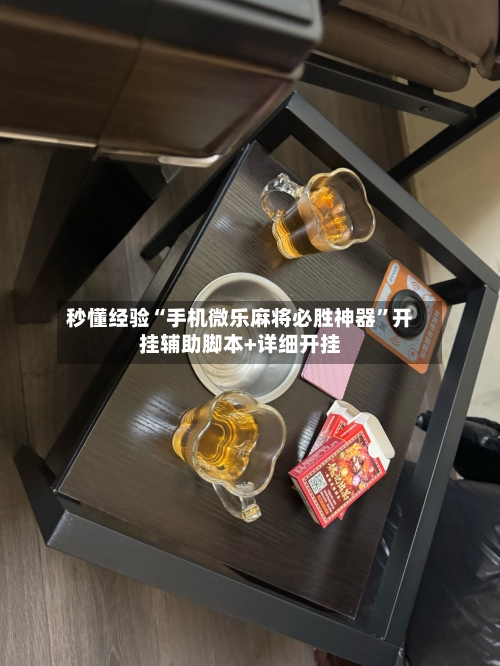 秒懂经验“手机微乐麻将必胜神器”开挂辅助脚本+详细开挂-第2张图片