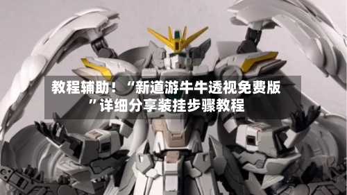 教程辅助！“新道游牛牛透视免费版”详细分享装挂步骤教程-第2张图片