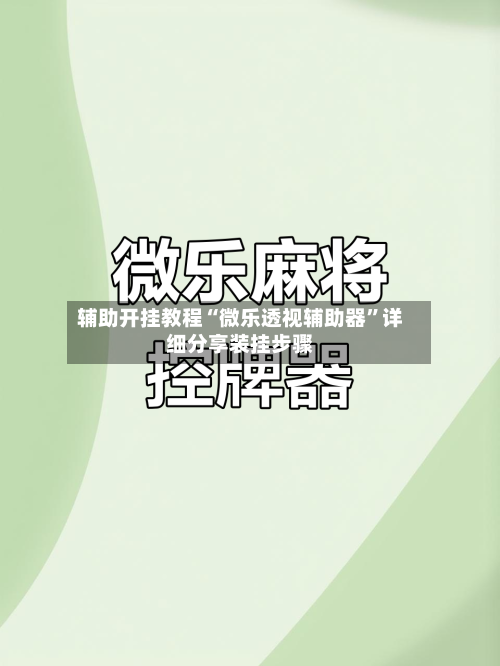 辅助开挂教程“微乐透视辅助器”详细分享装挂步骤-第3张图片