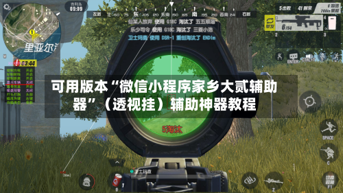 可用版本“微信小程序家乡大贰辅助器	”（透视挂）辅助神器教程-第2张图片