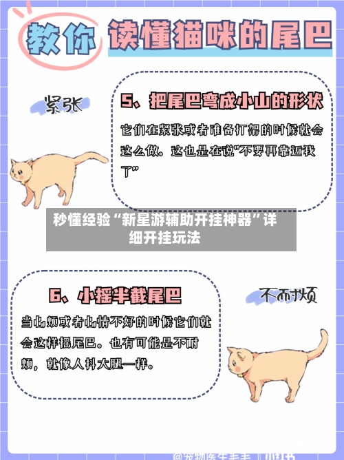 秒懂经验“新星游辅助开挂神器”详细开挂玩法-第2张图片