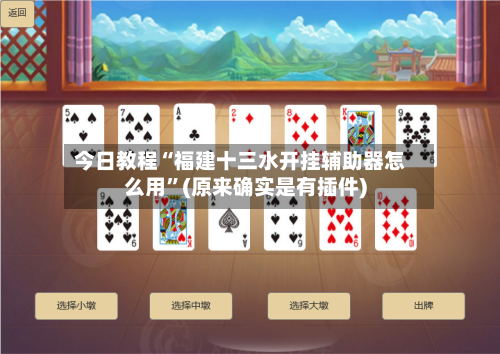 今日教程“福建十三水开挂辅助器怎么用	”(原来确实是有插件)-第2张图片