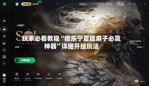 玩家必看教程“微乐宁夏捉麻子必赢神器”详细开挂玩法