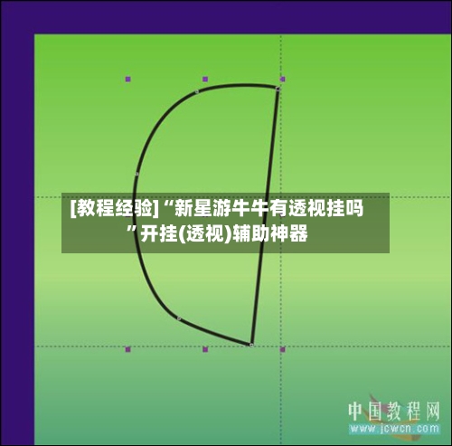 [教程经验]“新星游牛牛有透视挂吗”开挂(透视)辅助神器-第2张图片