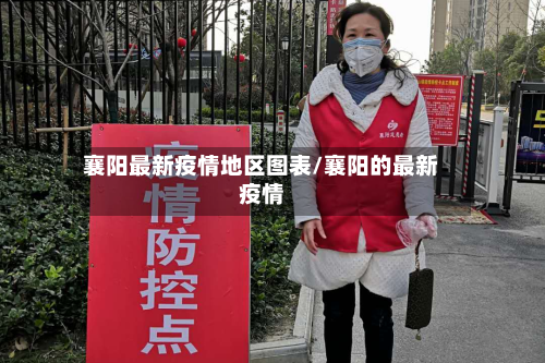 襄阳最新疫情地区图表/襄阳的最新疫情