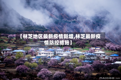 【林芝地区最新疫情新增,林芝最新疫情防控措施】-第2张图片