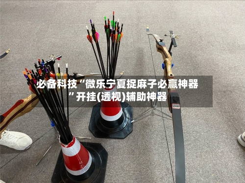 必备科技“微乐宁夏捉麻子必赢神器”开挂(透视)辅助神器-第3张图片