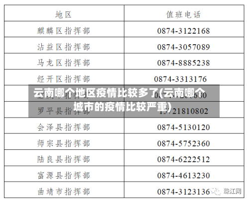云南哪个地区疫情比较多了(云南哪个城市的疫情比较严重)