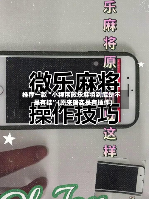 推荐一款“小程序微乐麻将到底是不是有挂”(原来确实是有插件)-第2张图片