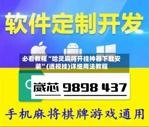 必看教程“哈灵麻将开挂神器下载安装”(透视挂)详细用法教程-第3张图片