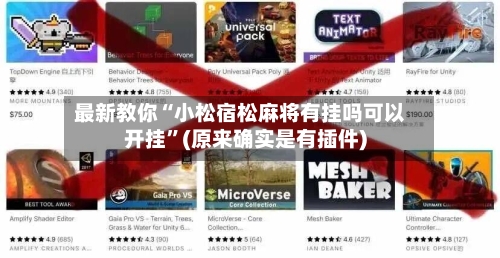 最新教你“小松宿松麻将有挂吗可以开挂”(原来确实是有插件)-第2张图片